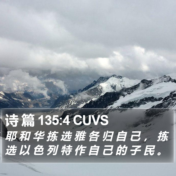 诗 篇 135:4 CUVS Bible Study