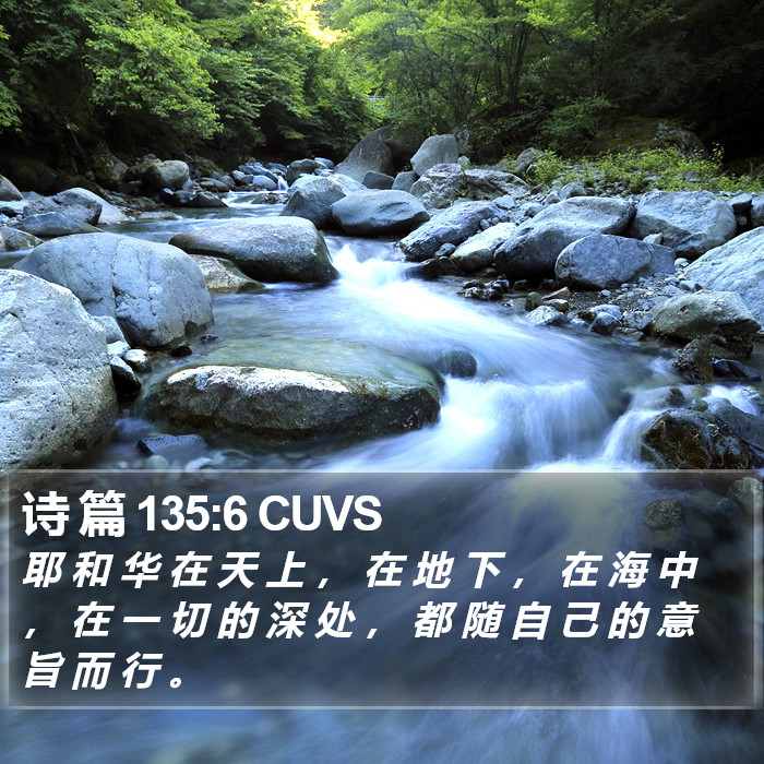 诗 篇 135:6 CUVS Bible Study