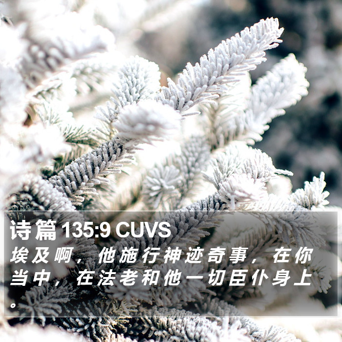 诗 篇 135:9 CUVS Bible Study