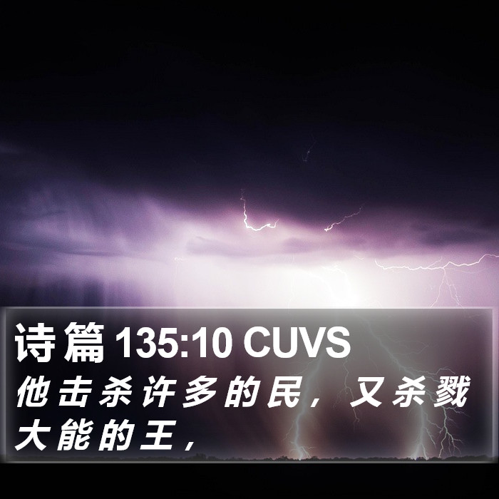 诗 篇 135:10 CUVS Bible Study