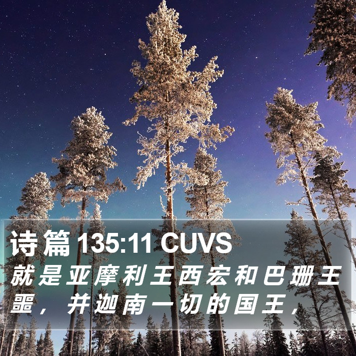 诗 篇 135:11 CUVS Bible Study