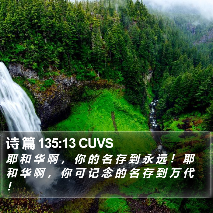 诗 篇 135:13 CUVS Bible Study