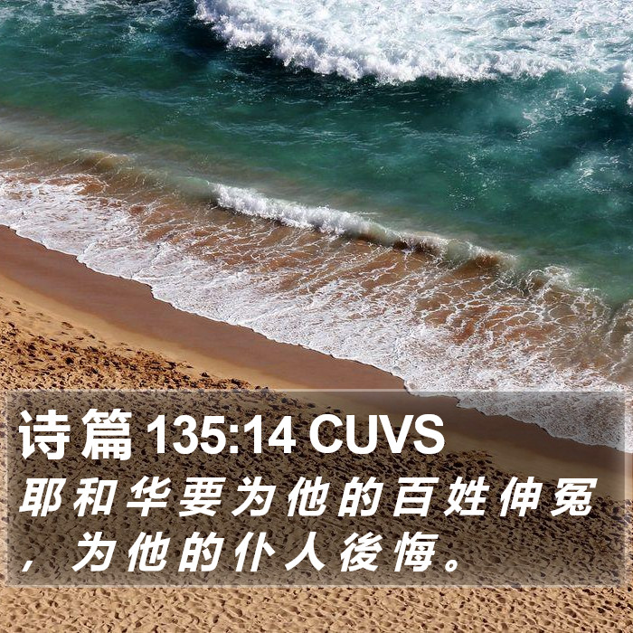 诗 篇 135:14 CUVS Bible Study