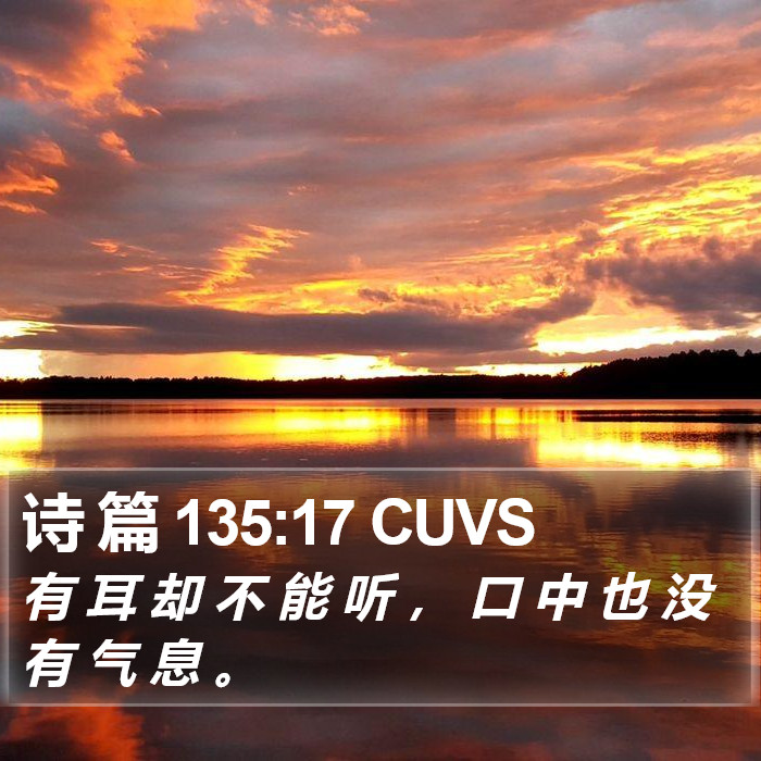 诗 篇 135:17 CUVS Bible Study