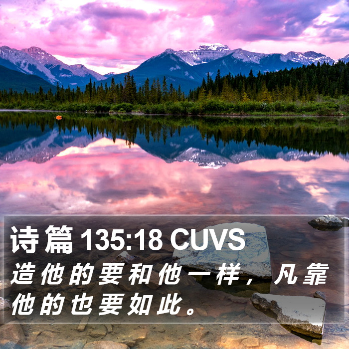 诗 篇 135:18 CUVS Bible Study