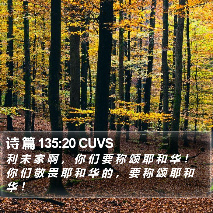 诗 篇 135:20 CUVS Bible Study