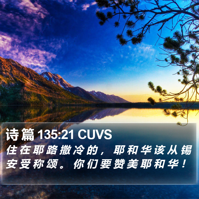 诗 篇 135:21 CUVS Bible Study