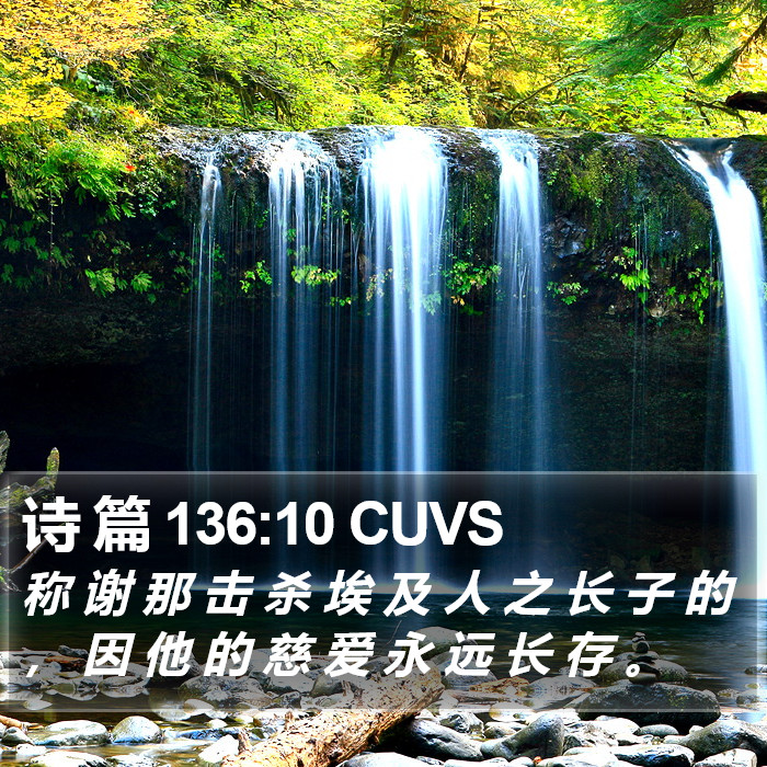 诗 篇 136:10 CUVS Bible Study