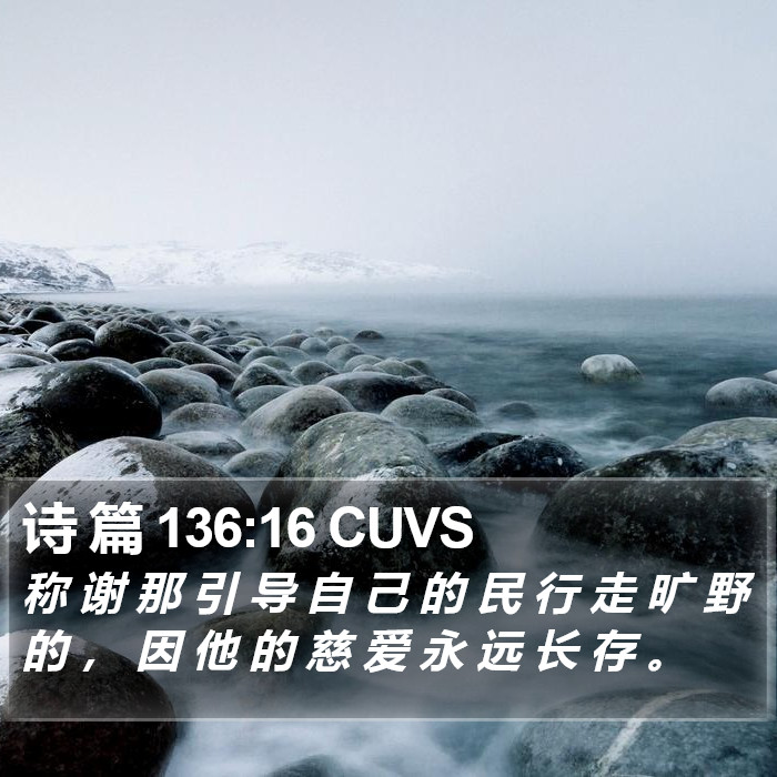 诗 篇 136:16 CUVS Bible Study