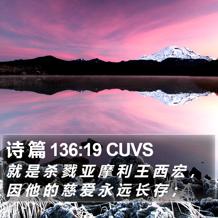 诗 篇 136:19 CUVS Bible Study