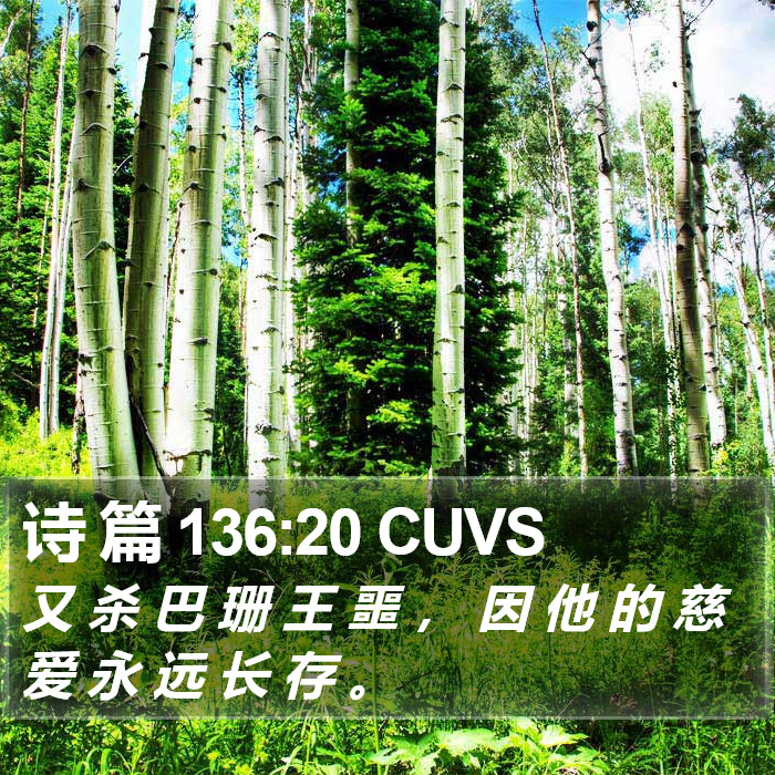 诗 篇 136:20 CUVS Bible Study