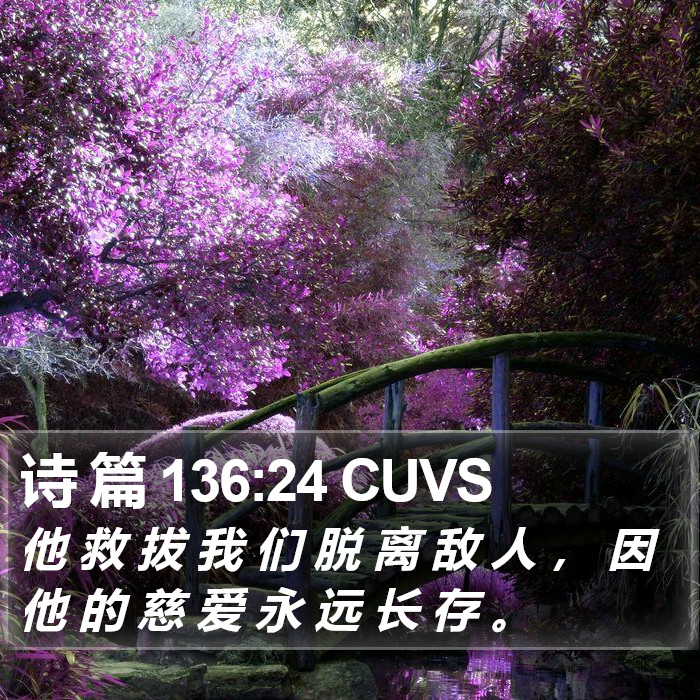 诗 篇 136:24 CUVS Bible Study