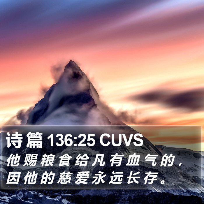 诗 篇 136:25 CUVS Bible Study