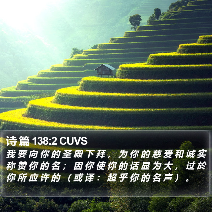 诗 篇 138:2 CUVS Bible Study