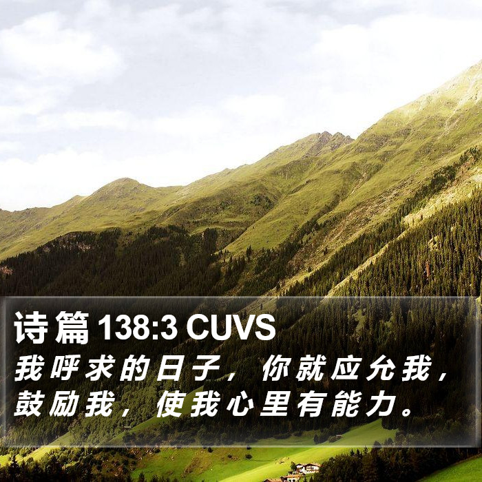 诗 篇 138:3 CUVS Bible Study