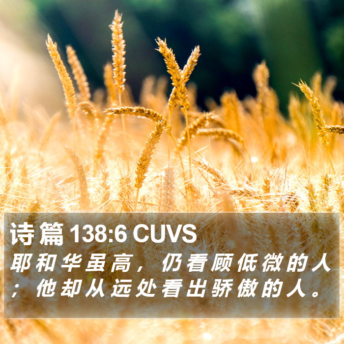 诗 篇 138:6 CUVS Bible Study