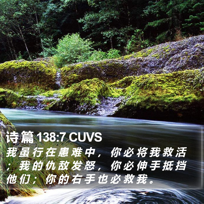 诗 篇 138:7 CUVS Bible Study