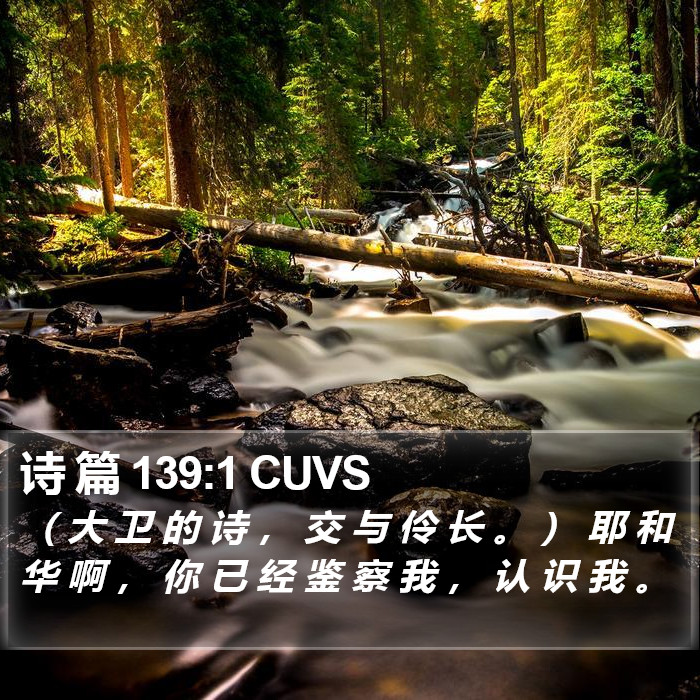 诗 篇 139:1 CUVS Bible Study