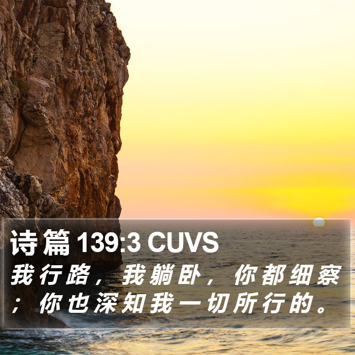 诗 篇 139:3 CUVS Bible Study