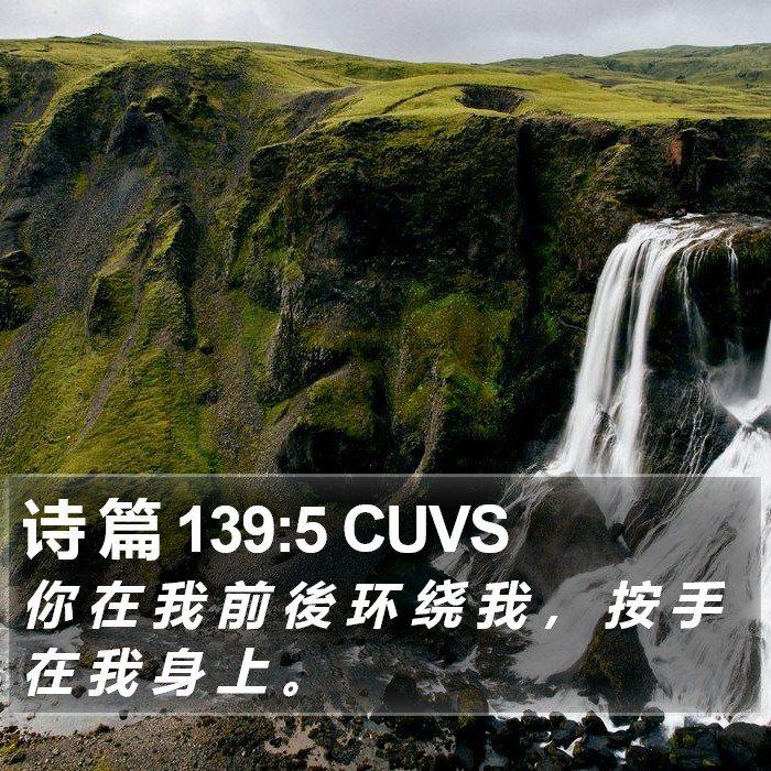 诗 篇 139:5 CUVS Bible Study