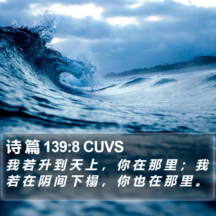 诗 篇 139:8 CUVS Bible Study