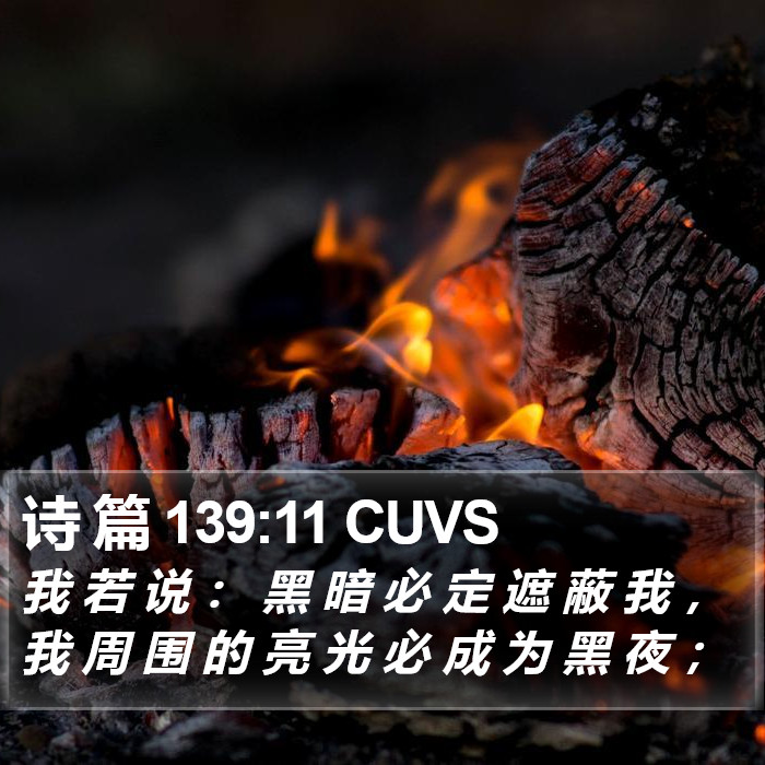 诗 篇 139:11 CUVS Bible Study