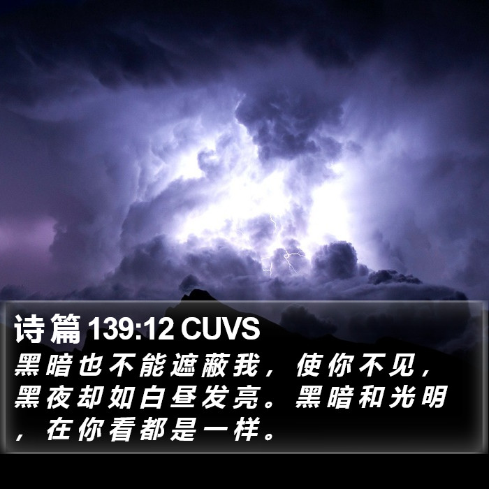 诗 篇 139:12 CUVS Bible Study