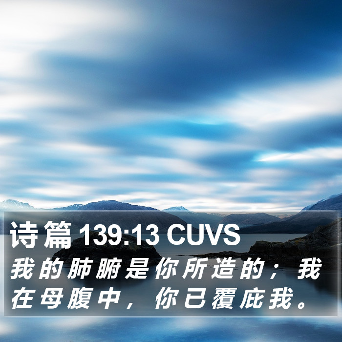 诗 篇 139:13 CUVS Bible Study