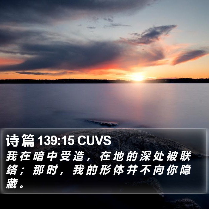 诗 篇 139:15 CUVS Bible Study