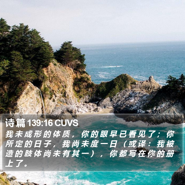 诗 篇 139:16 CUVS Bible Study