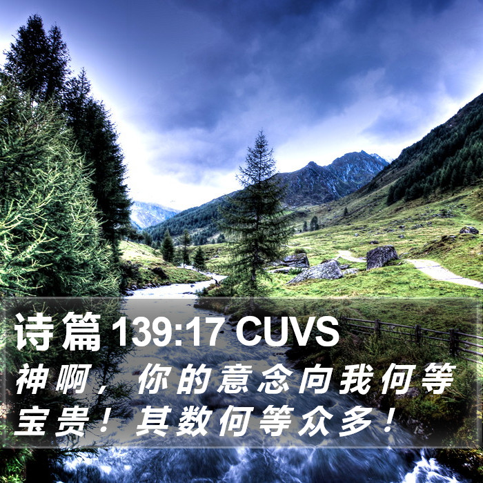 诗 篇 139:17 CUVS Bible Study