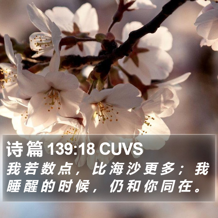 诗 篇 139:18 CUVS Bible Study