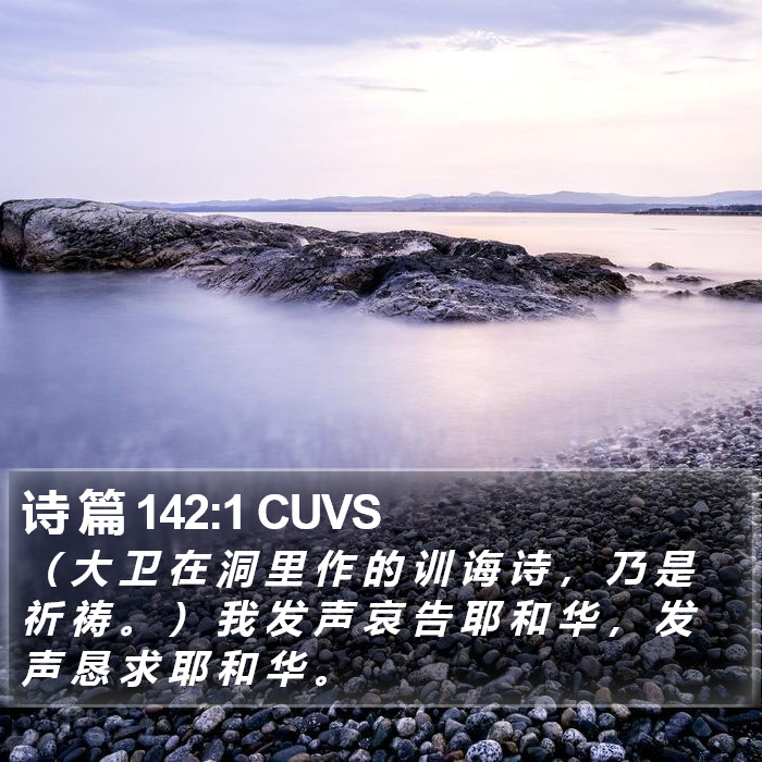 诗 篇 142:1 CUVS Bible Study