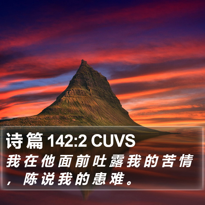 诗 篇 142:2 CUVS Bible Study