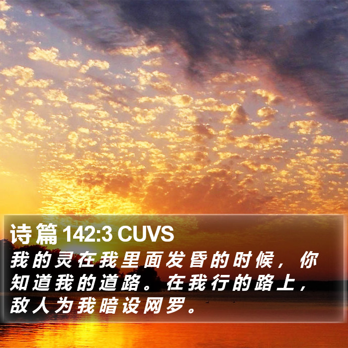 诗 篇 142:3 CUVS Bible Study