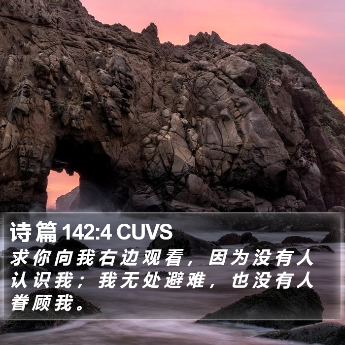 诗 篇 142:4 CUVS Bible Study