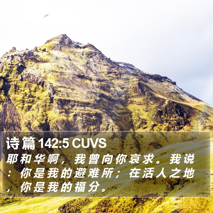 诗 篇 142:5 CUVS Bible Study