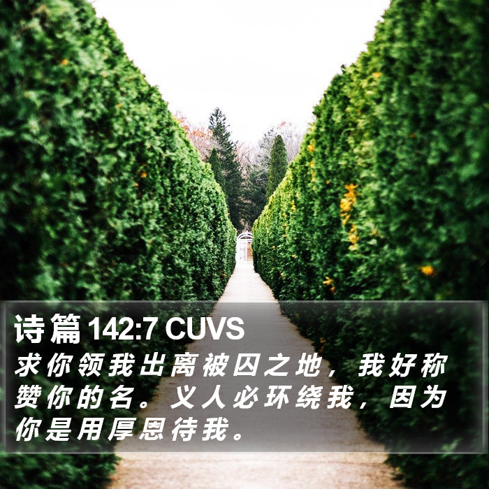 诗 篇 142:7 CUVS Bible Study