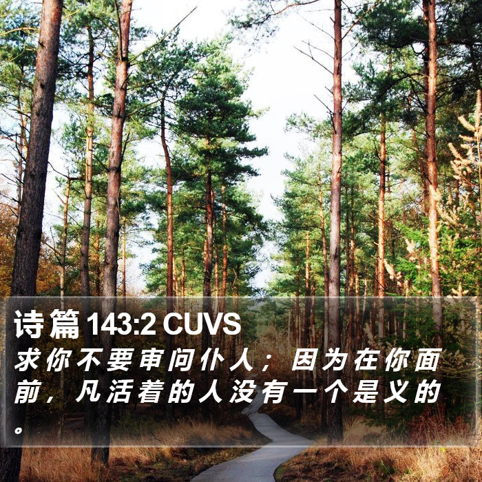 诗 篇 143:2 CUVS Bible Study