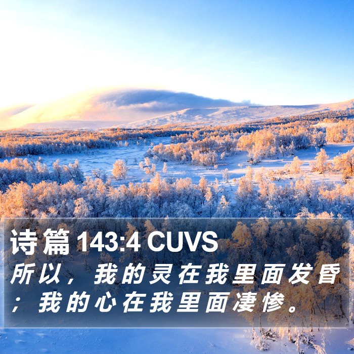 诗 篇 143:4 CUVS Bible Study