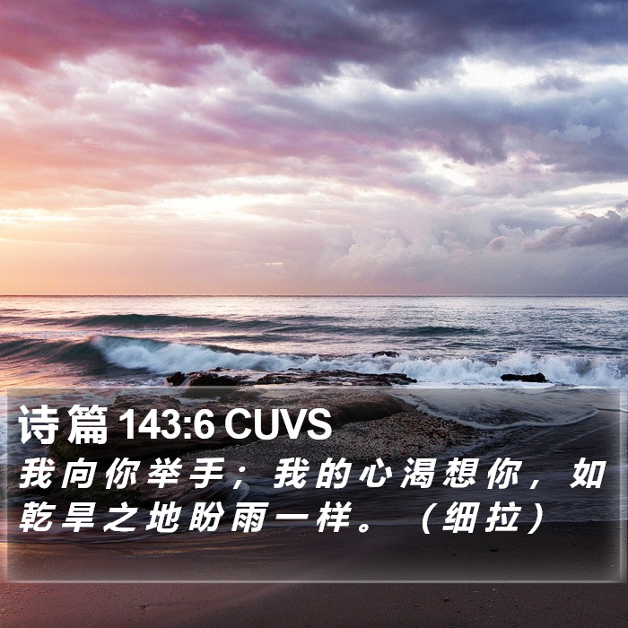 诗 篇 143:6 CUVS Bible Study