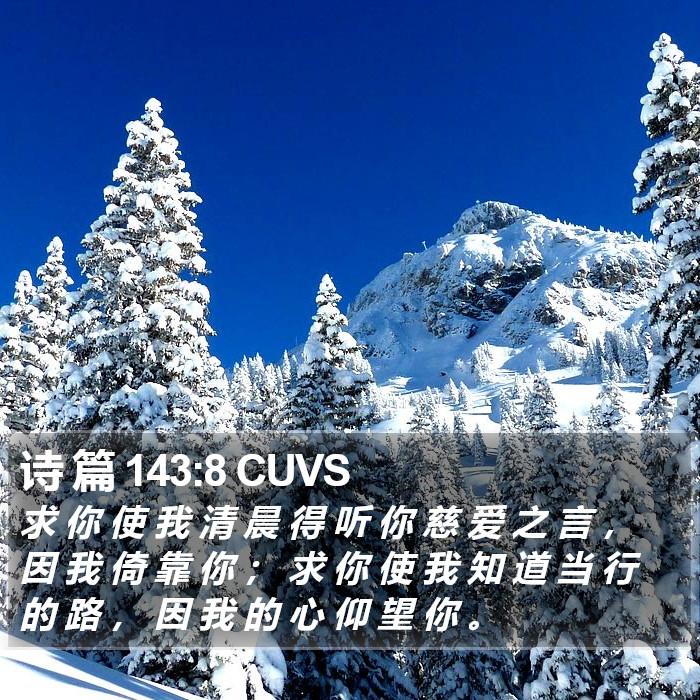 诗 篇 143:8 CUVS Bible Study