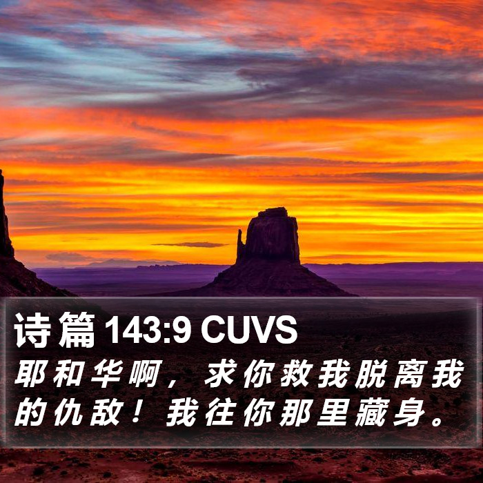 诗 篇 143:9 CUVS Bible Study