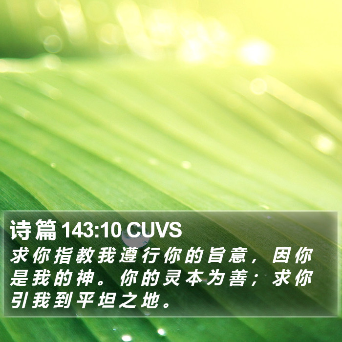 诗 篇 143:10 CUVS Bible Study