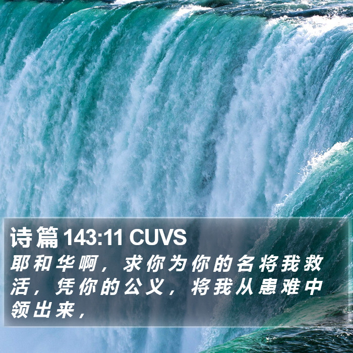 诗 篇 143:11 CUVS Bible Study