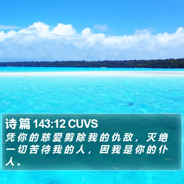 诗 篇 143:12 CUVS Bible Study