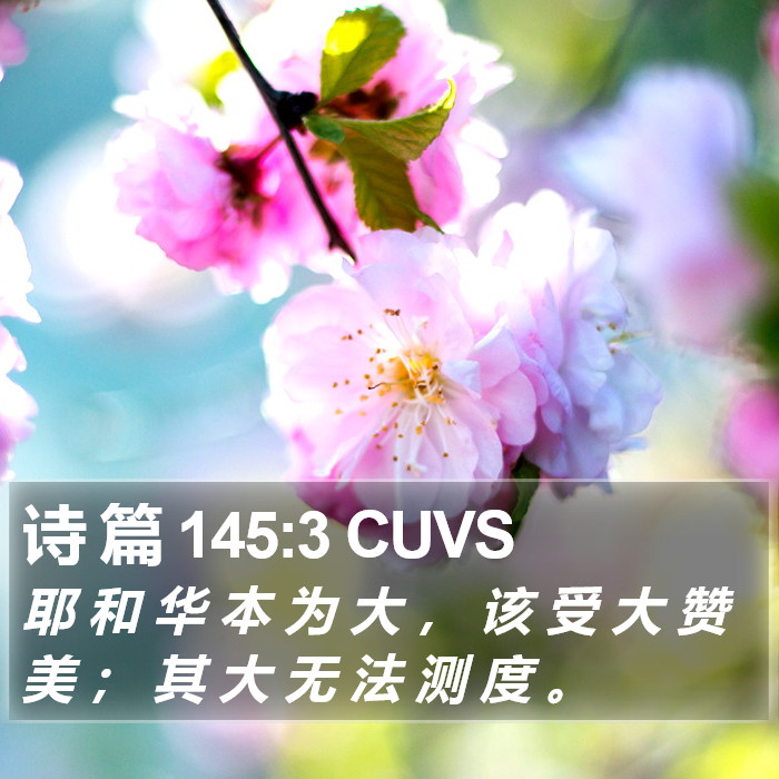 诗 篇 145:3 CUVS Bible Study