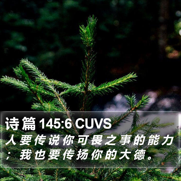 诗 篇 145:6 CUVS Bible Study