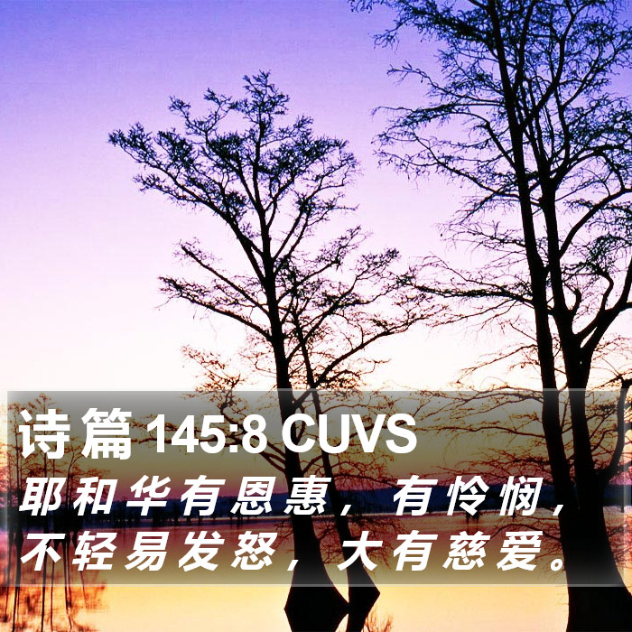 诗 篇 145:8 CUVS Bible Study