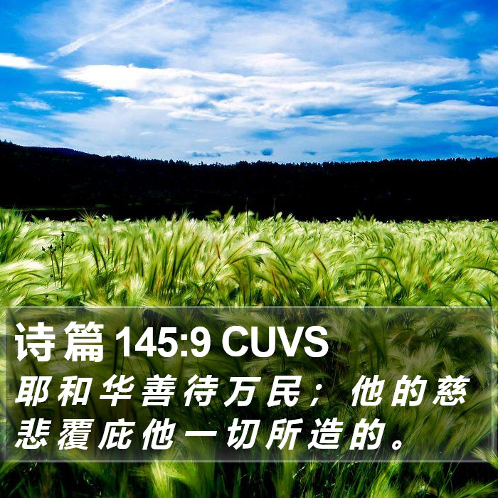 诗 篇 145:9 CUVS Bible Study